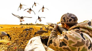 DUCK HUNTING CANADA | AN ORIGINAL FILM