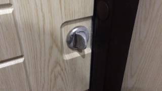 Дверь Снегирь Torex(, 2016-11-17T20:13:18.000Z)