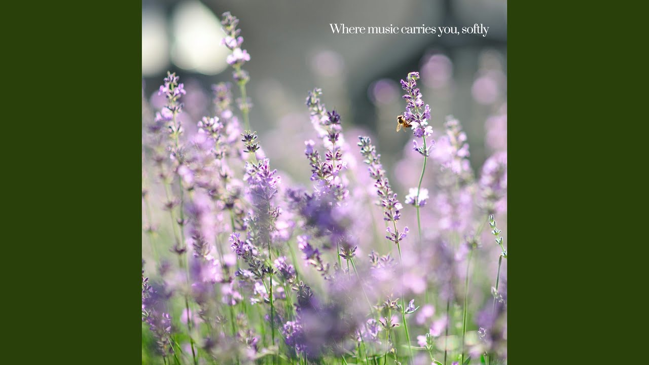 Watch Little Lavender Girl on YouTube Watch Little Lavender Girl on YouTube