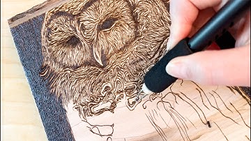 Art Time Lapse Wood Burning Time Lapse Pyrography Artwork