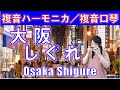 P520. 『大阪しぐれ』”Osaka Shigure”　 複音ハーモニカ by 柳川優子 Yuko Yanagawa Tremolo Harmonica 1,000　複音口琴