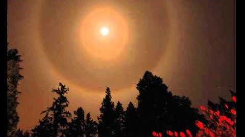 Mr. Projectile - Snowdude