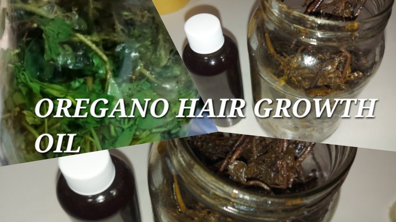 Oregano super hair growth oil prepared just with two ingredients YouTube