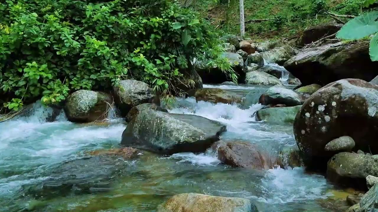 Soothing River Sounds | Peaceful Water Ambiance for Relaxation, Focus, and Sleep