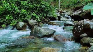 Soothing River Sounds | Peaceful Water Ambiance for Relaxation, Focus, and Sleep