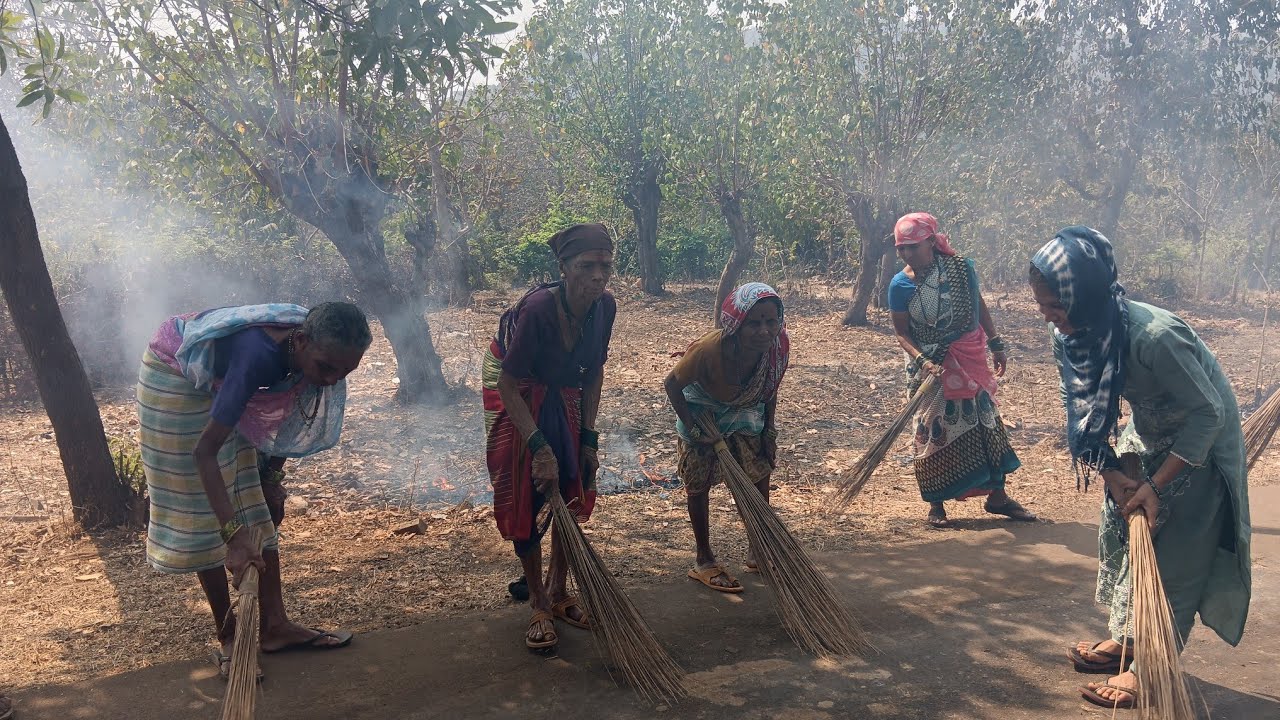 आज केली गावाची साप सपाई😀