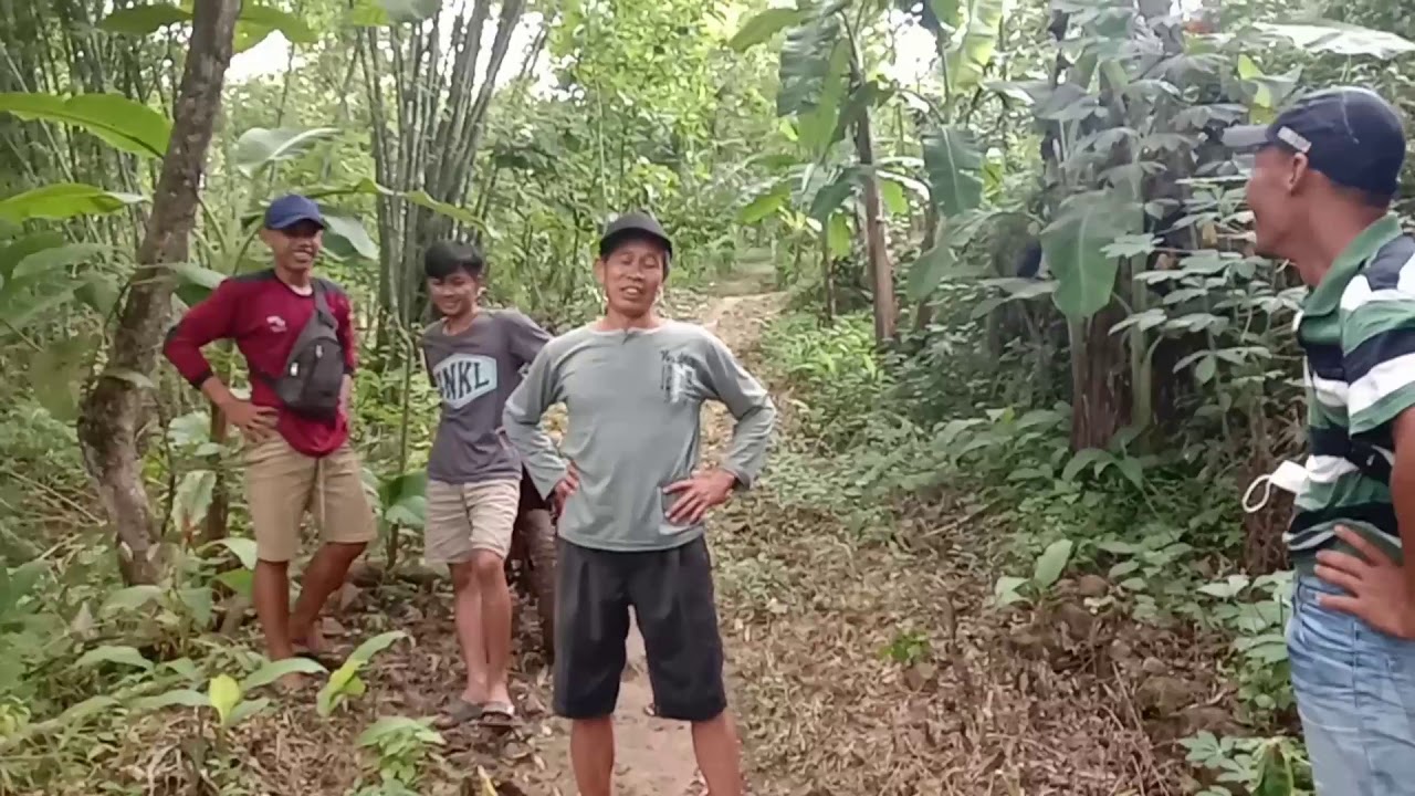 TRABAS......!!!! exstrim evanture hutan