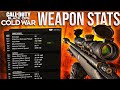 Weapon Stats for Black Ops Cold War (Multiplayer Gameplay)