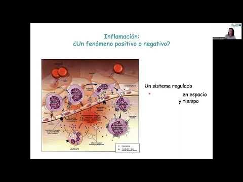 25+25 Constance YouTube