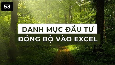 Hướng dẫn quản lý danh mục đầu tư Chứng khoán bằng Excel, tự động cập nhật giá khớp lệnh