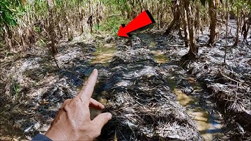 Đặt Lờ Cá Vào Đường Bánh Xe Và Cái Kết Vô Cùng Bất Ngờ The wheel grooves bring in a lot of fish.