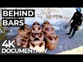 Behind Bars: Urso Branco, Brazil | World’s Toughest Prisons | Free Documentary