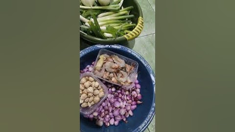 Thumbnail of Rahasia Bumbu Nasgor Solalia dijamin lebih enak dari Solaria#music #nasigoreng #bumbu #resepmasakan