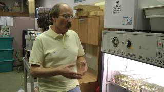 Dr Jim Cuda | Professor, Biological Control; Invasive Plants