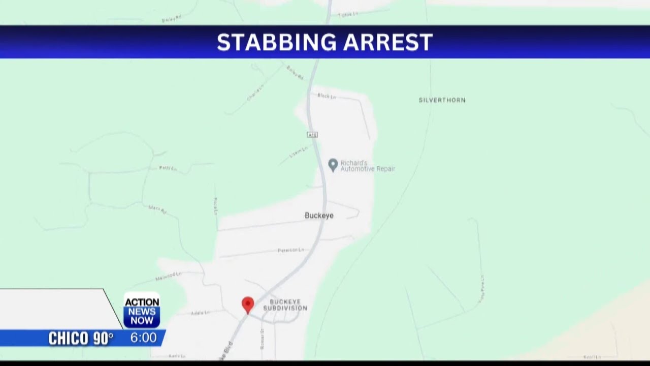 Suspect arrested for attempted murder after he stabbed his brother in ...