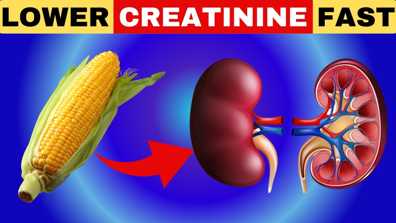 MUST TRY! 5 Superfoods to Reduce Creatinine Fast and Improve Kidney ...