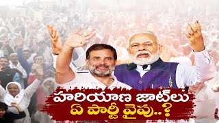 హరియాణలో కీలకంగా జాట్‌ల ఓట్లు  | Jaat voters play key role | Haryana