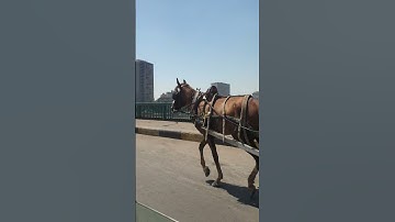 قرآن كريم بصوت خاشع #قرآن #السعوديه #اليمن #اكسبلور ##تصويري #