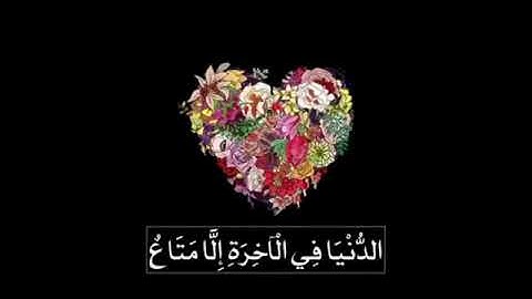 #تلاوات #ماهر_المعيقلي #ياسر_الدوسري #ناصر_القطامي #السديس #خالد_الغامدي(26)