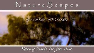 🎧 CRICKETS SINGING IN THE RAIN... Sounds to help you Relax, Sleep & Study by Sounds by Knight 19,004 views 10 years ago 1 hour
