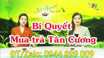Chè Tân Cương Thái Nguyên ngon | HTX Trà Xanh Thái Nguyên