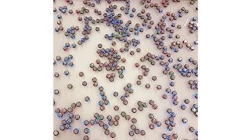 Timelapse of 400 Kilobot robots reaching a consensus