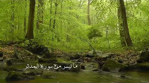 قُم فأنذِر… تلاوة تهزّ القلب | من سورة المدّثر" 🥺