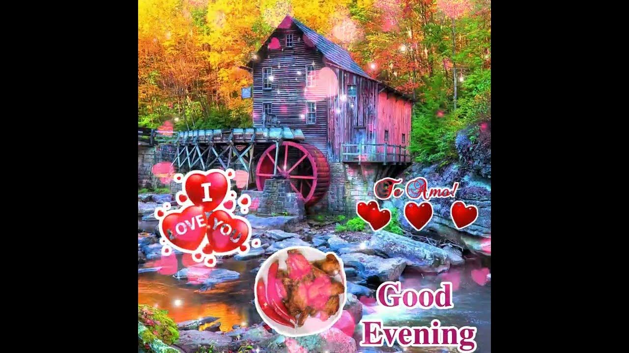 Good evening status video💞Whatsapp status video💞good evening gif