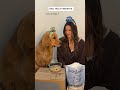 New Years Resolutions ✨dog edition ✨ WINSTON50 to save 50% #unkibble