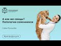 А как же самцы? Патологии семенников, лектор Софья Бунькова