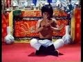 Shaolin against Lama fight pt 3