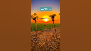 سوره الماعون #اكسبلور #دويتو #المصحف #تيك_توك #حالات_واتس #صباح_الخير
