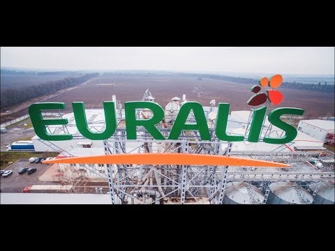 Производство семян Euralis за 1 минуту