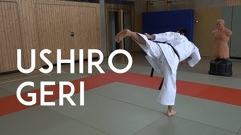 USHIRO GERI - karate back kick - TEAM KI