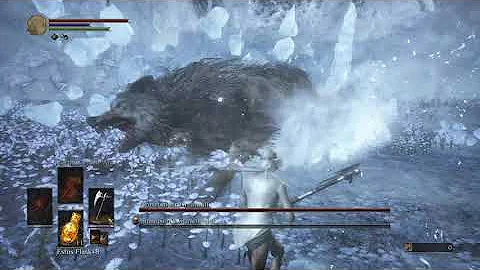 SL1 - Champion's Gravetender and Gravetender Greatwolf Flawless (Dark Souls 3)