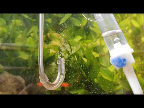 Video Chế Sủi Co2 Đơn Giản Không Tốn Phí - youtube