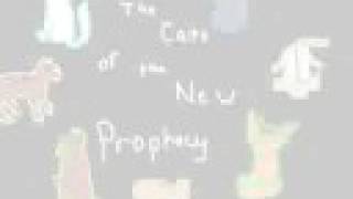 The New Prophecy Cats