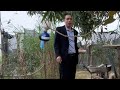 Hài hước tổng hợp hay nhất #funny #troll #shots #billiards #fishing