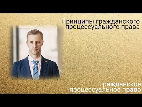 Стрим. Принципы гражданского процессуального права