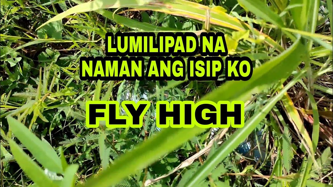 LUMILIPAD NA NAMAN ANG ISIP KO YouTube lumilipad-na-naman-ang-isip-ko-youtube