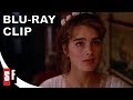 Endless Love (1981) - Clip: My Endless Love (HD)