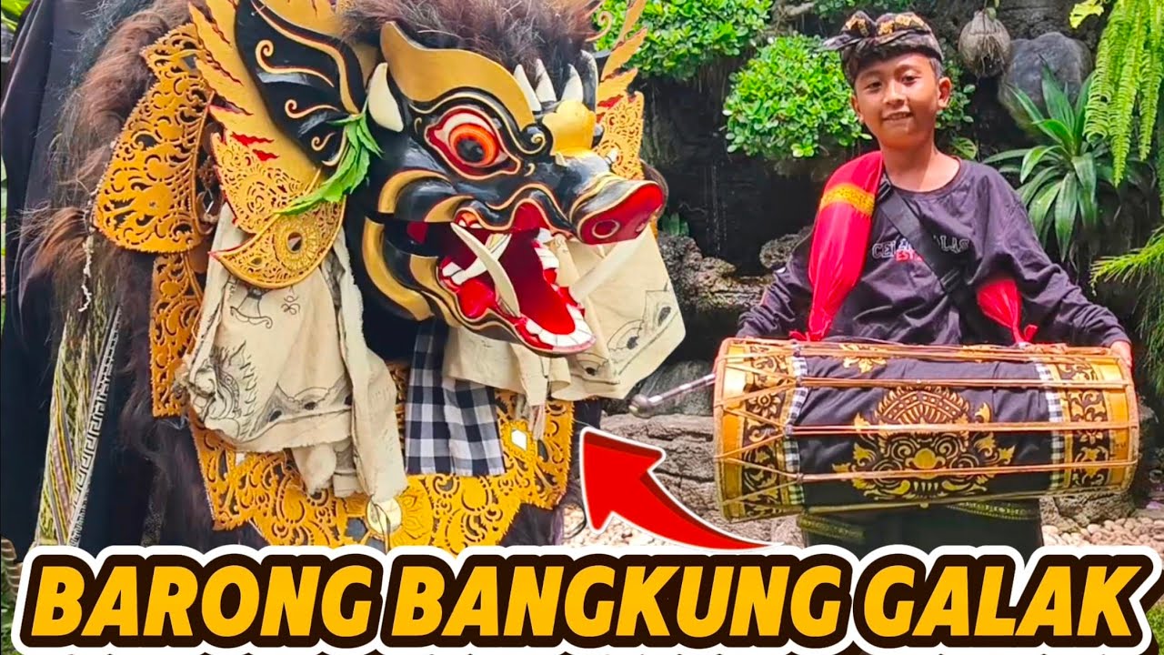 AKU NGELAWANG BARONG BANGKUNG GALAK SAMA TEMAN TEMAN MEGAMBEL BALI KELILING DESA‼️