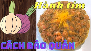 Cách Bảo Quản Hành Tím Khô| Bảo Quản Hành Tím Không Mọc Mầm| NMT T183