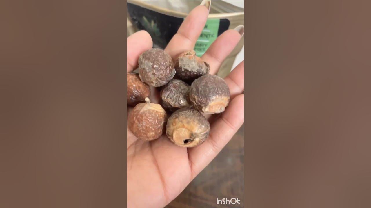 SAI HERBS REETHA BARA AVAILABLE SOAPNUTS AVAILABLE READY FOR EXPORT