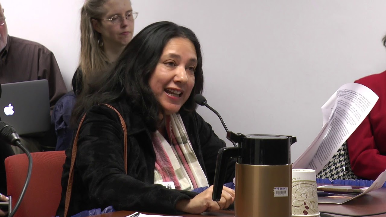 Pramilla Malick   Testimony NY City, Climate and Community Protection Act 2 14 2019