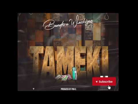 BANDERA WACHIYAO - TAMEKI