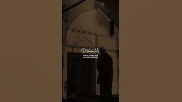 سعد الغامدي سورة النجم Saad Alghamidi Surat Al Najm