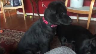 10000000 7371082322956438 8758367015467636441 n