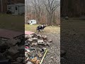 Rescuer Finds A Box Of Puppies — Then Goes Back For Mama | The Dodo