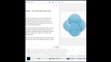 How to remove Automation Captions (word-by-word live text) from scene in DeScript  @SnowSugarVideo ​